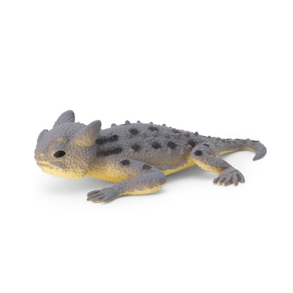 Colour Changing Lizards