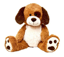 Sitting Height Dog 48Cm