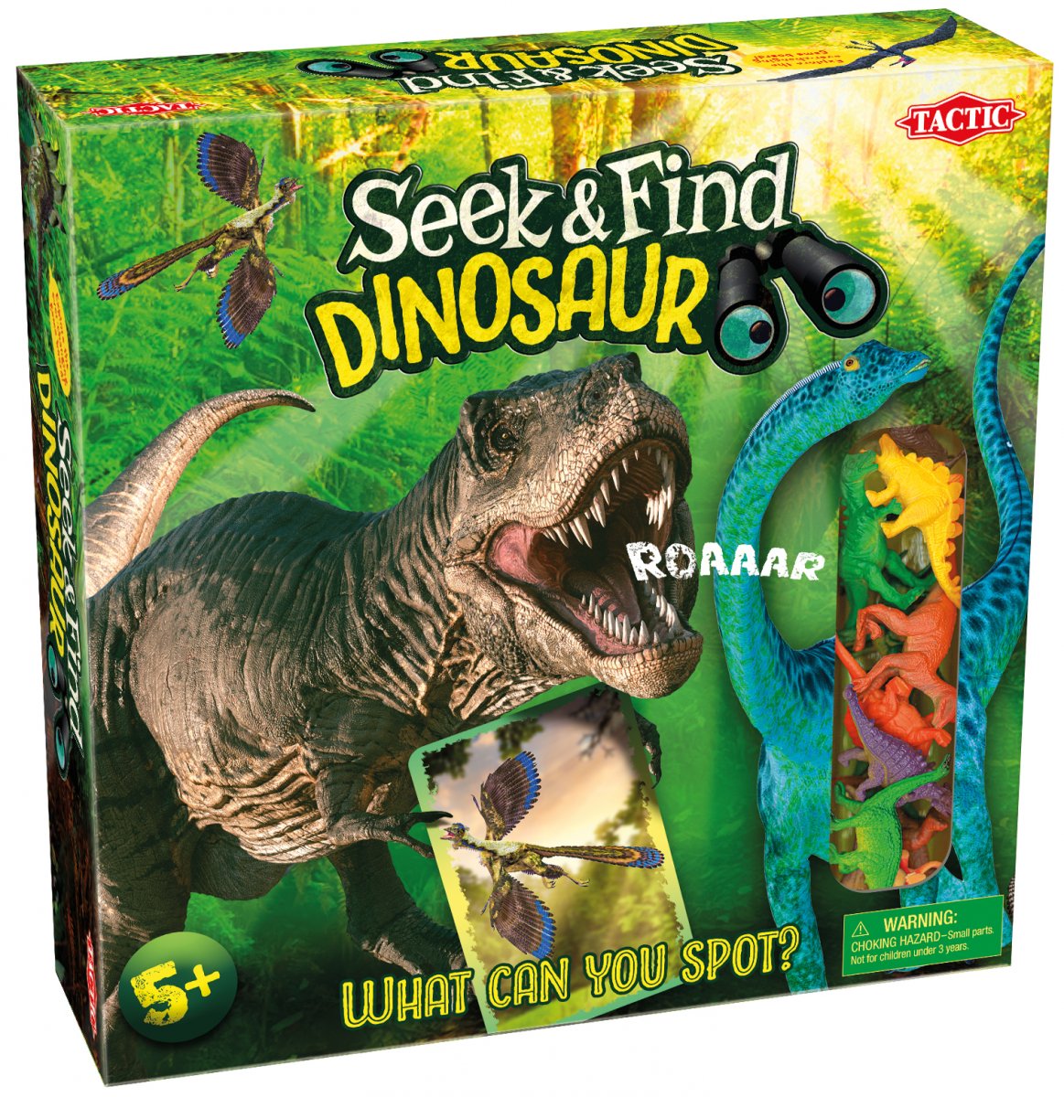 Seek & Find Dinosaur Game