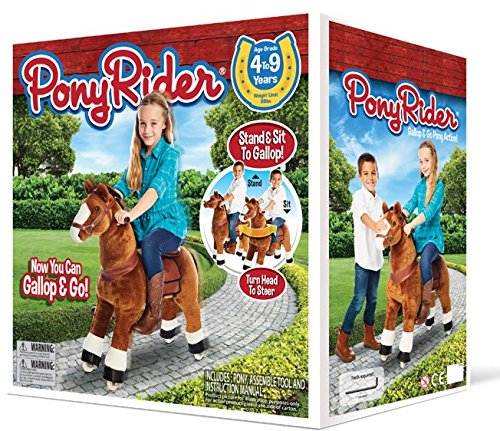 Pony Rider Brown Horse