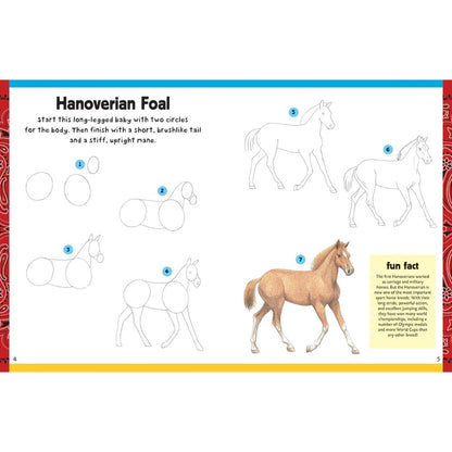 How To Draw Horses & Ponies