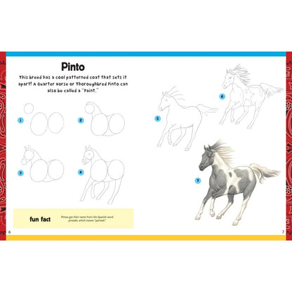 How To Draw Horses & Ponies