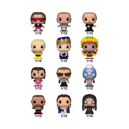 Funko Mystery Bitty Pop WWE