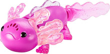 Fingerlings Axolotyl Assorted
