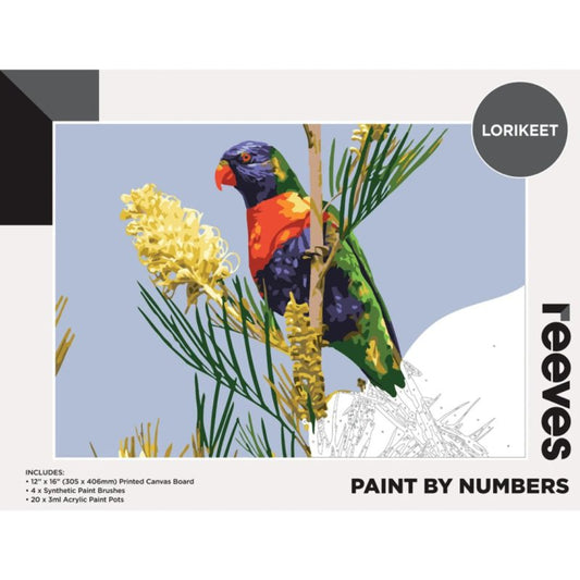 Reeves Paint By Numbers Lorikeet