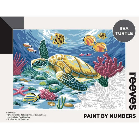 Reeves Paint By Numbers Sea Turtle