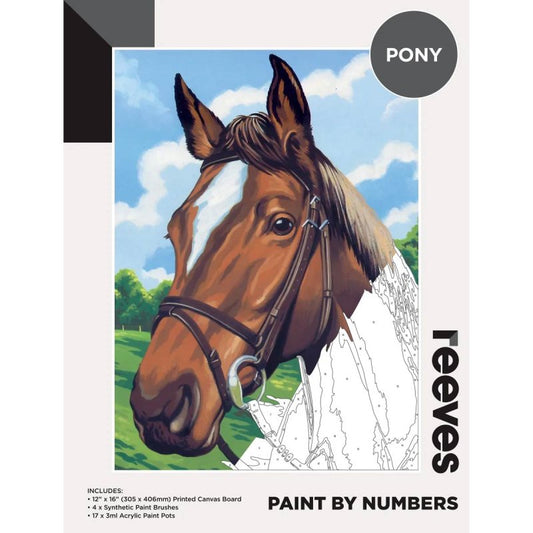 Reeves Paint by Numbers Pony