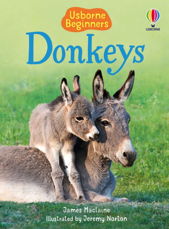 Donkeys Beginners Book