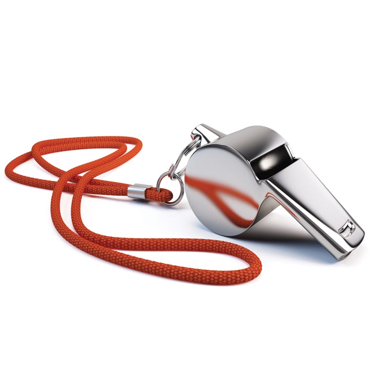Adventurers Whistle