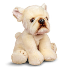 Animigos French Bull Dog