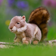 Animigos Grey Squirrell