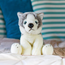 Animigos Husky