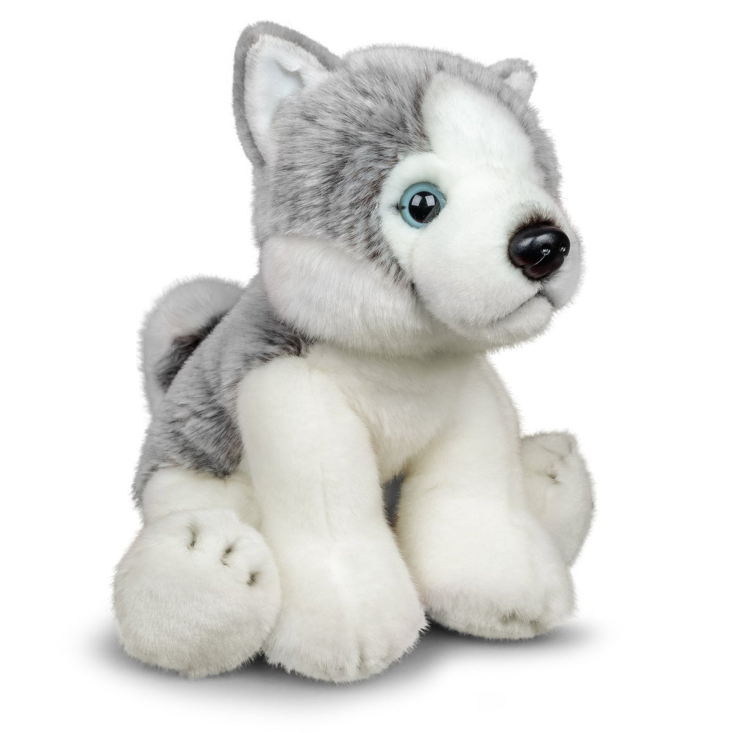 Animigos Husky