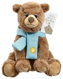 Bear Hunt Soft Toy