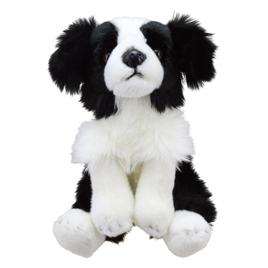 Wilberry Border Collie
