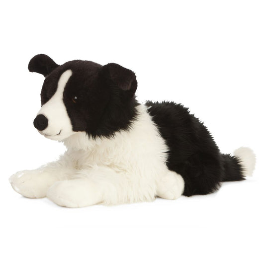 Border Collie Large Living Nature