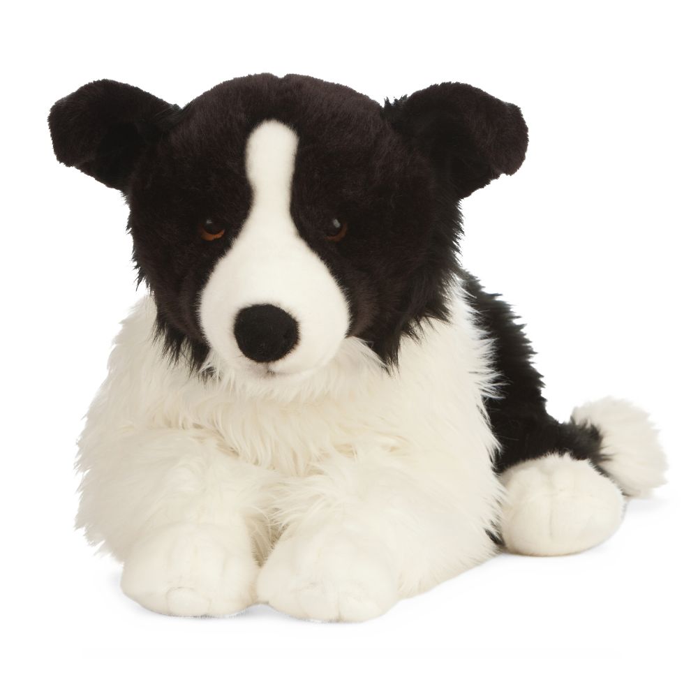 Border Collie Large Living Nature