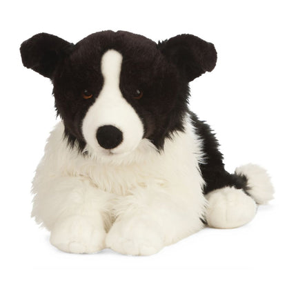 Border Collie Large Living Nature