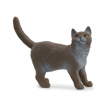 Schleich British Short Hair Cat