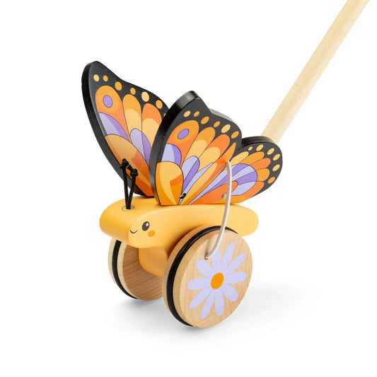Butterfly Push Along Boxed