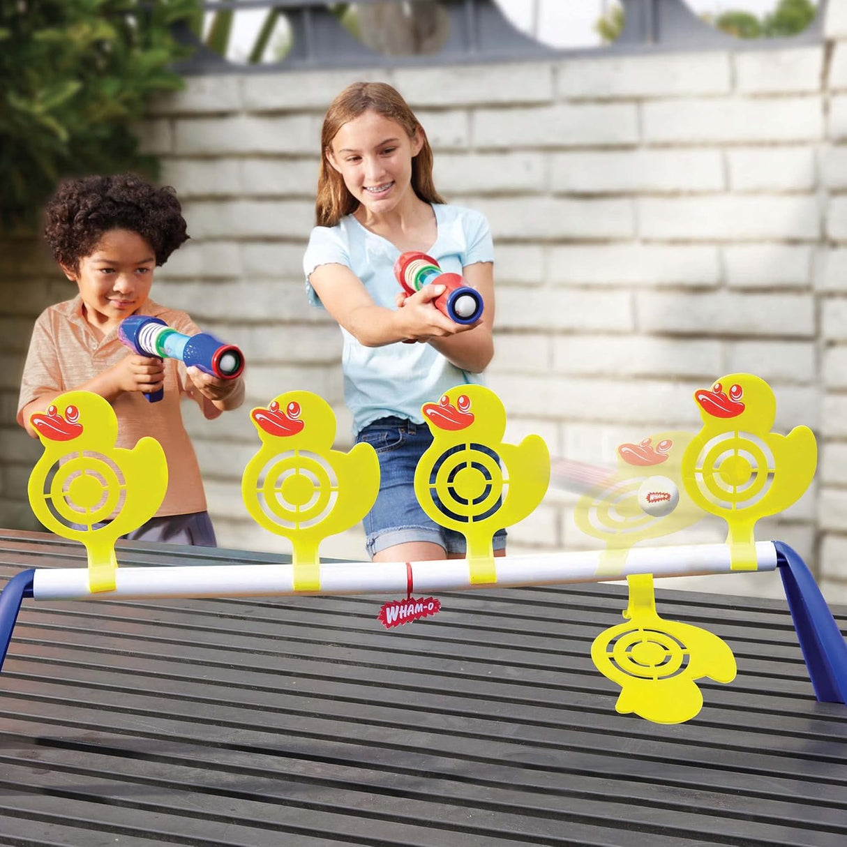 Carnival Duck Shoot Game