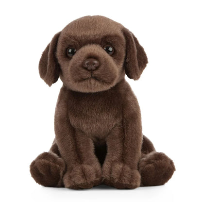 Chocolate Lab Small Living Nature