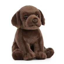 Chocolate Lab Small Living Nature
