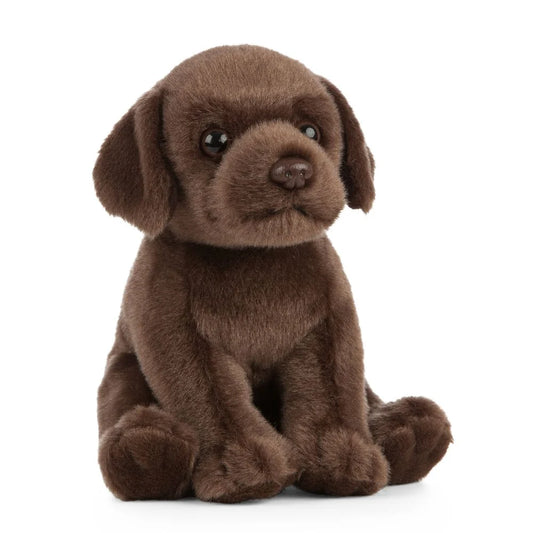 Chocolate Lab Small Living Nature