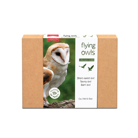 Collectible Models Bird Assorted