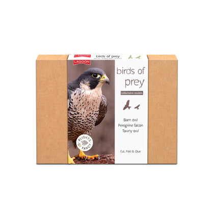 Collectible Models Bird Assorted