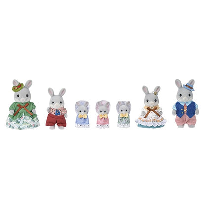 Cottontail Rabbit Celebration Set