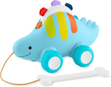 Dino 3  in 1 Tambourine Pull Toy