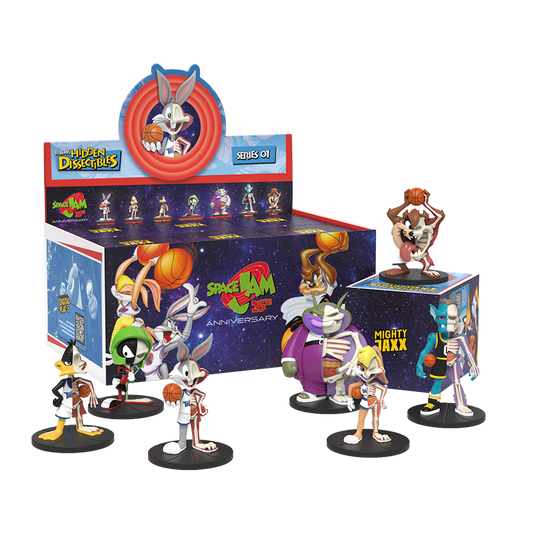 Dissectable Space Jam S1  Blind Box