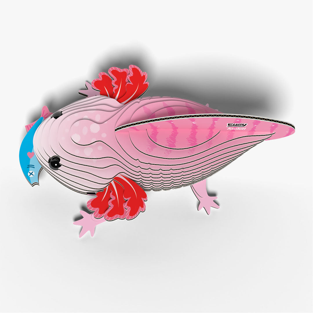 Eugy Axolotl 3D Model Craft Kit