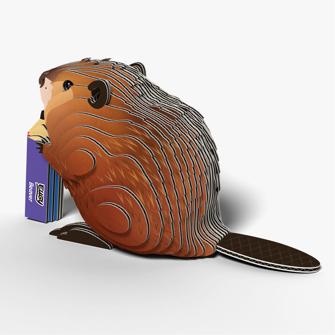 Eugy Beaver 3D Model Craft Kit