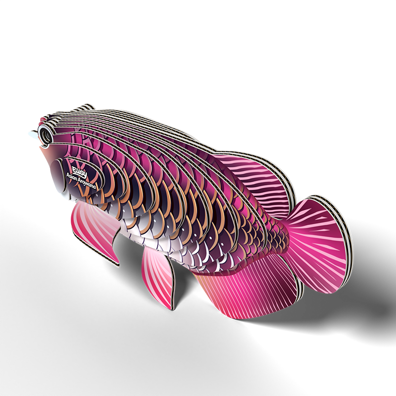 Eugy Asian Arowana 3D Model Craft Kit