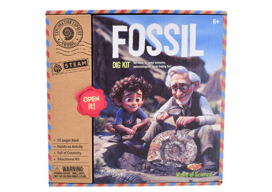 Fossil Excavation Kit