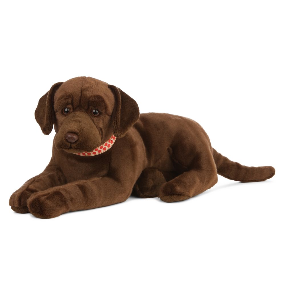Giant Chocolate Lab Living Nature
