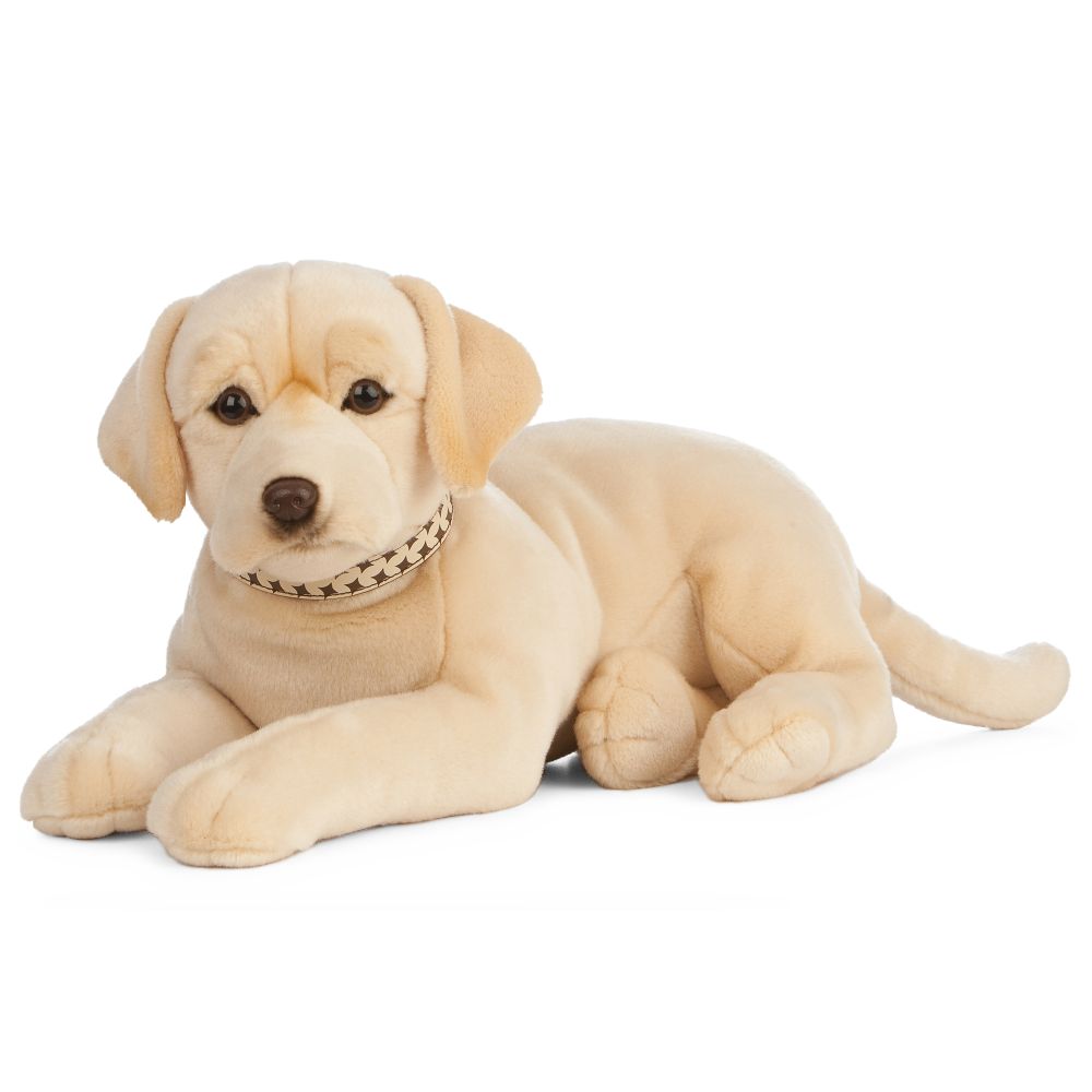 Giant Golden Lab Living Nature
