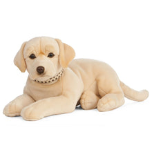 Giant Golden Lab Living Nature