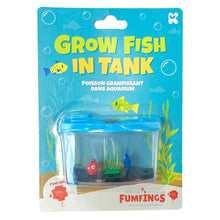 Grow Fish In A Tank