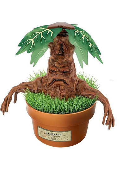 Harry Potter Mandrake Terrarium Kit