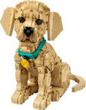 LEGO 11384 Icons Golden Retriever Puppy