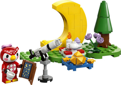 LEGO 77053 Animal Crossing Stargazing with Celeste