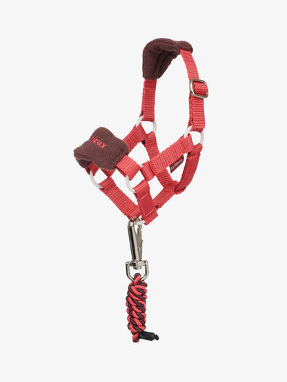LeMieux Toy Pony Vogue Headcollar Cranberry