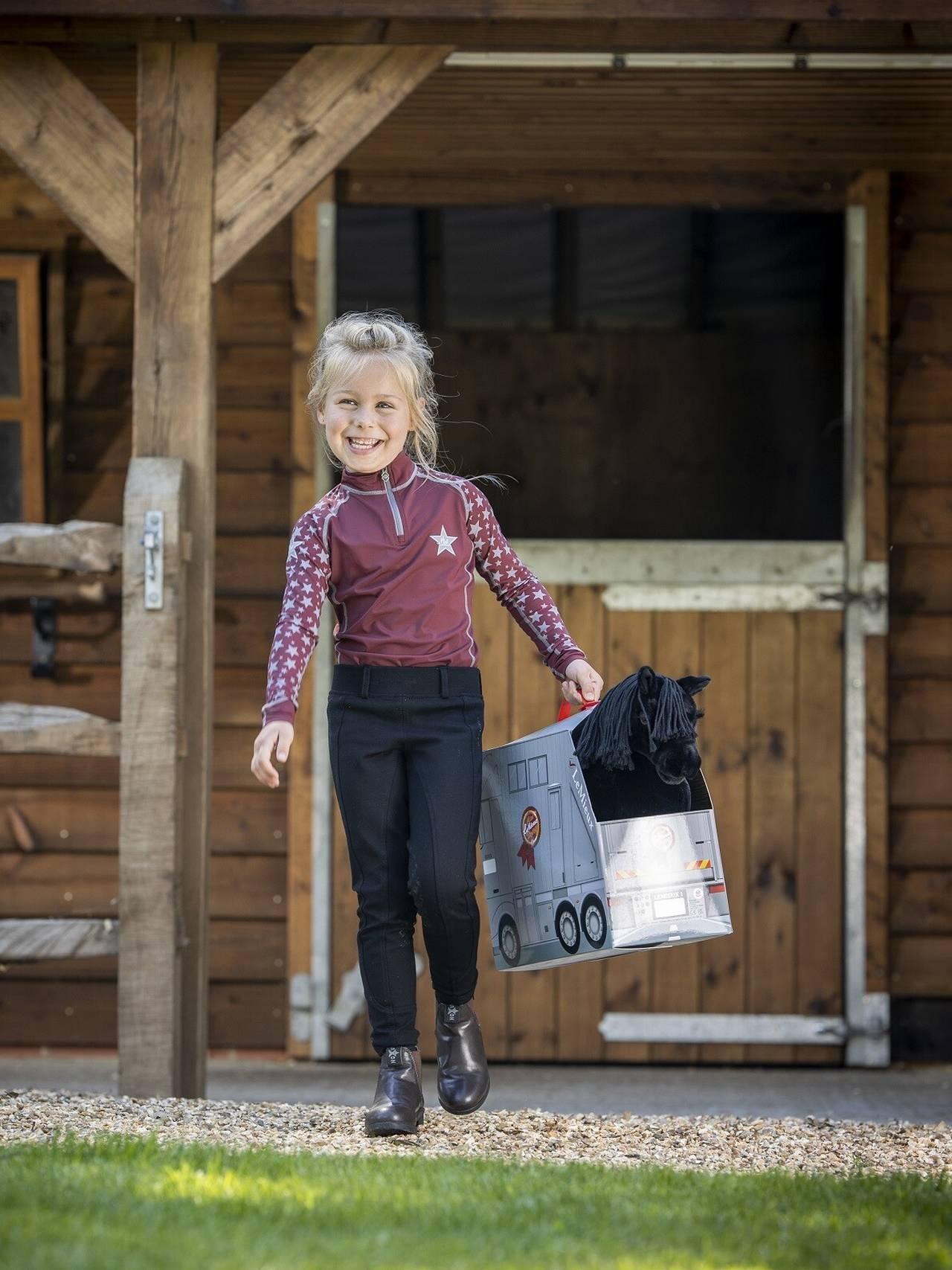 LeMieux Toy Pony Carry Reversible Cardboard Stable