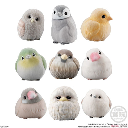 Mofu Mofu Tenori Bird Friends