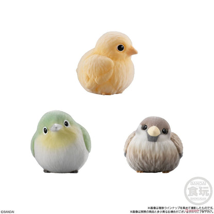 Mofu Mofu Tenori Bird Friends
