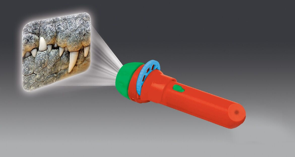 Most Deadly Torch And Projector