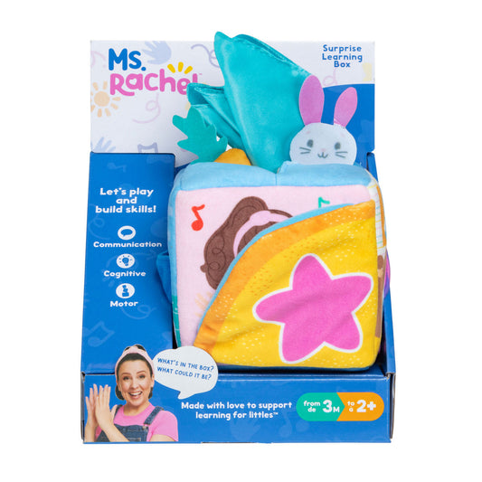 Ms Rachel Surpirse Learning Box